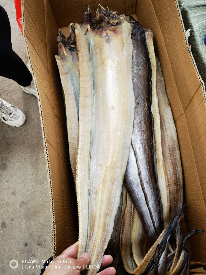 鳗鱼新货加工海鳗鱼咸鳗鱼海鱼鱼干海产品批发
