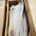 鳗鱼新货加工海鳗鱼咸鳗鱼海鱼鱼干海产品批发