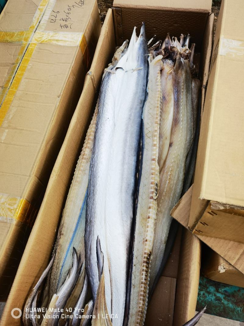 鳗鱼新货加工海鳗鱼咸鳗鱼海鱼鱼干海产品批发