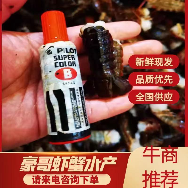 武汉虾尾一手货源，电商酒店夜宵烧烤，质量保证！