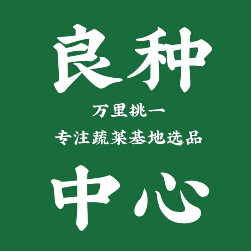 长豆角种子长豇豆种子嫩绿色翠绿色优质顺直80公分长