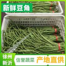精品长豆角豇豆绿直长徐州新沂产地蔬菜上市中