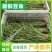 精品长豆角豇豆绿直长徐州新沂产地蔬菜上市中