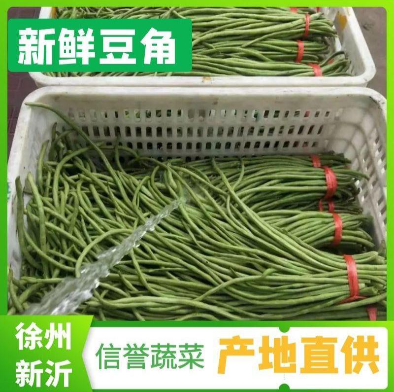 精品长豆角豇豆绿直长徐州新沂产地蔬菜上市中
