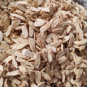 甘肃岷县黄芪片斜片瓜子片指甲片规格齐全