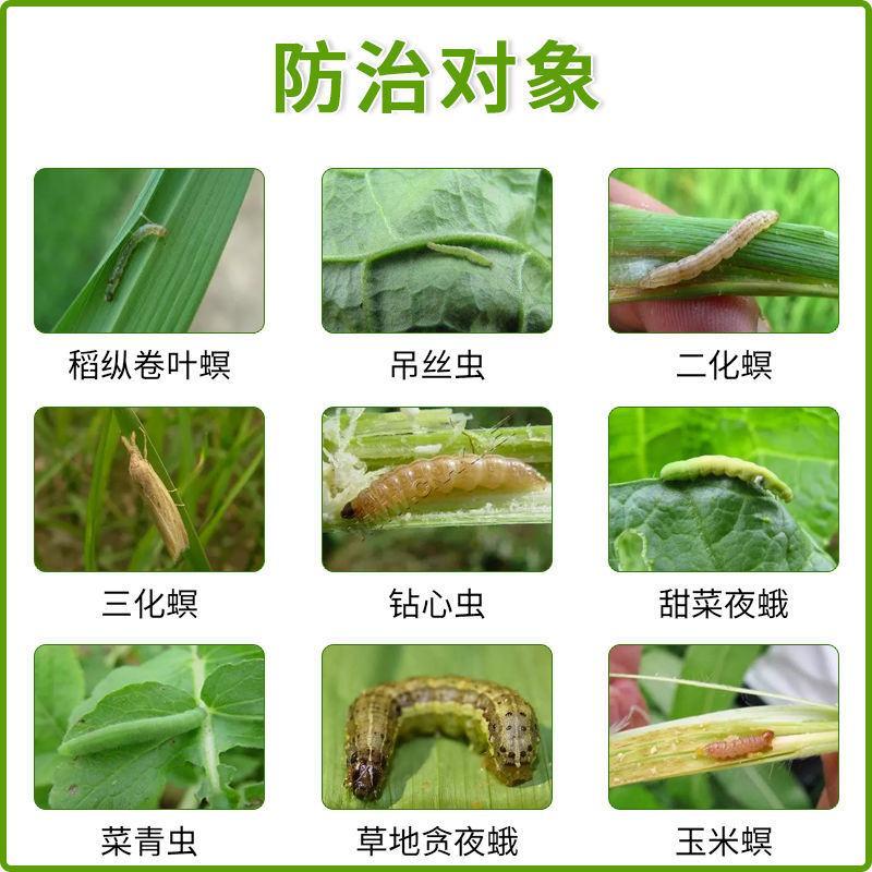 甲维茚虫威虱螨脲高效农药杀虫剂青虫蔬菜玉米水稻二化冥杀虫