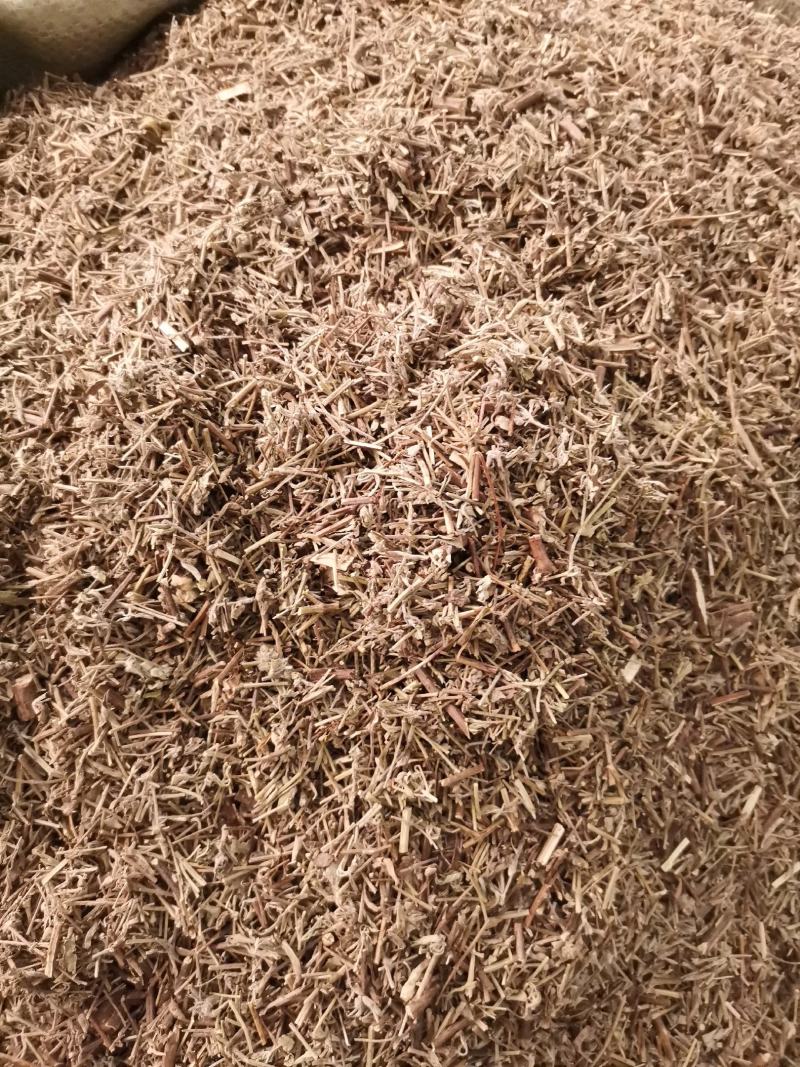 江西广西香薷草无杂净货量大从优欢迎选购