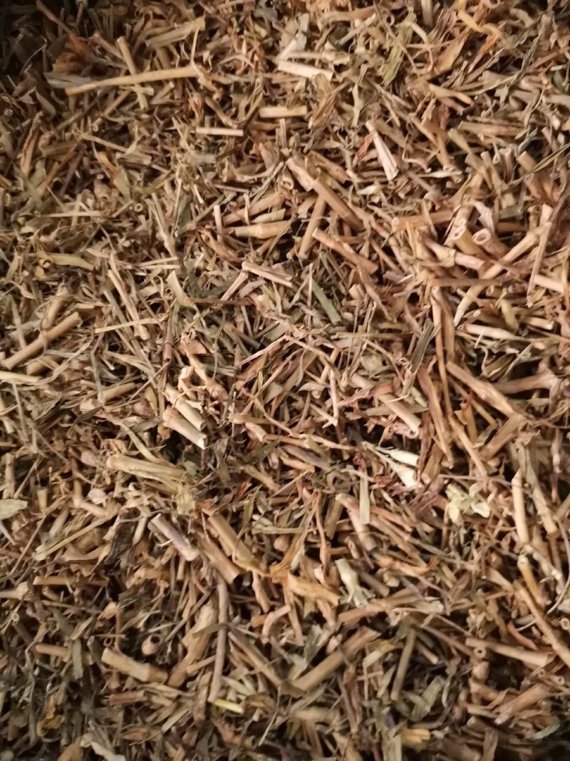 河北瞿麦草无杂净货量大从优欢迎选购