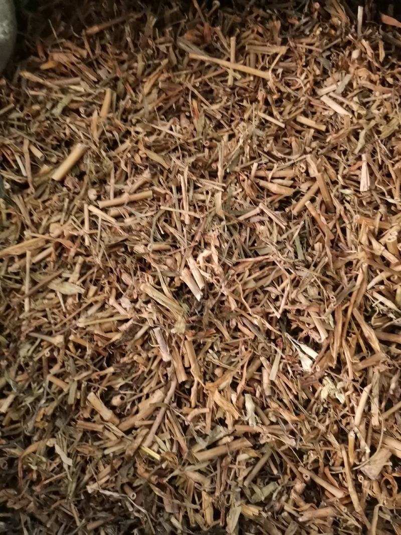 河北瞿麦草无杂净货量大从优欢迎选购