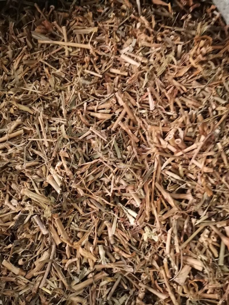 河北瞿麦草无杂净货量大从优欢迎选购