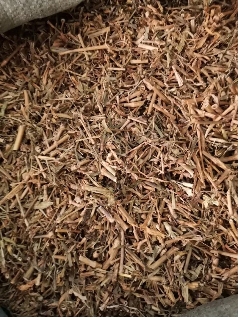 河北瞿麦草无杂净货量大从优欢迎选购