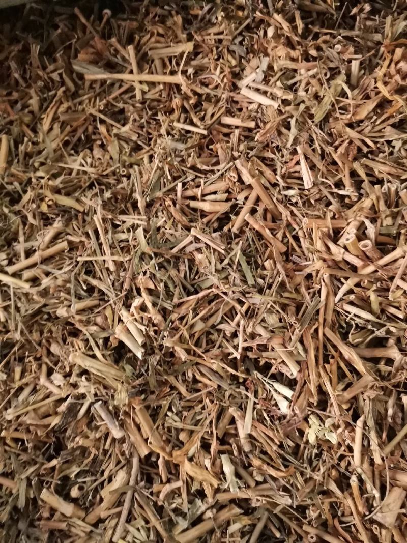 河北瞿麦草无杂净货量大从优欢迎选购