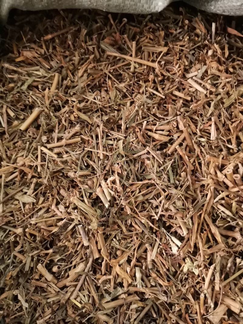 河北瞿麦草无杂净货量大从优欢迎选购