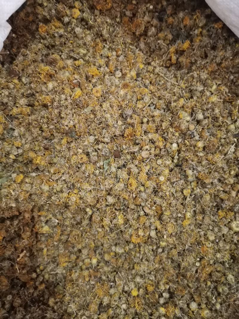旋覆花无杂净货量大从优欢迎选购