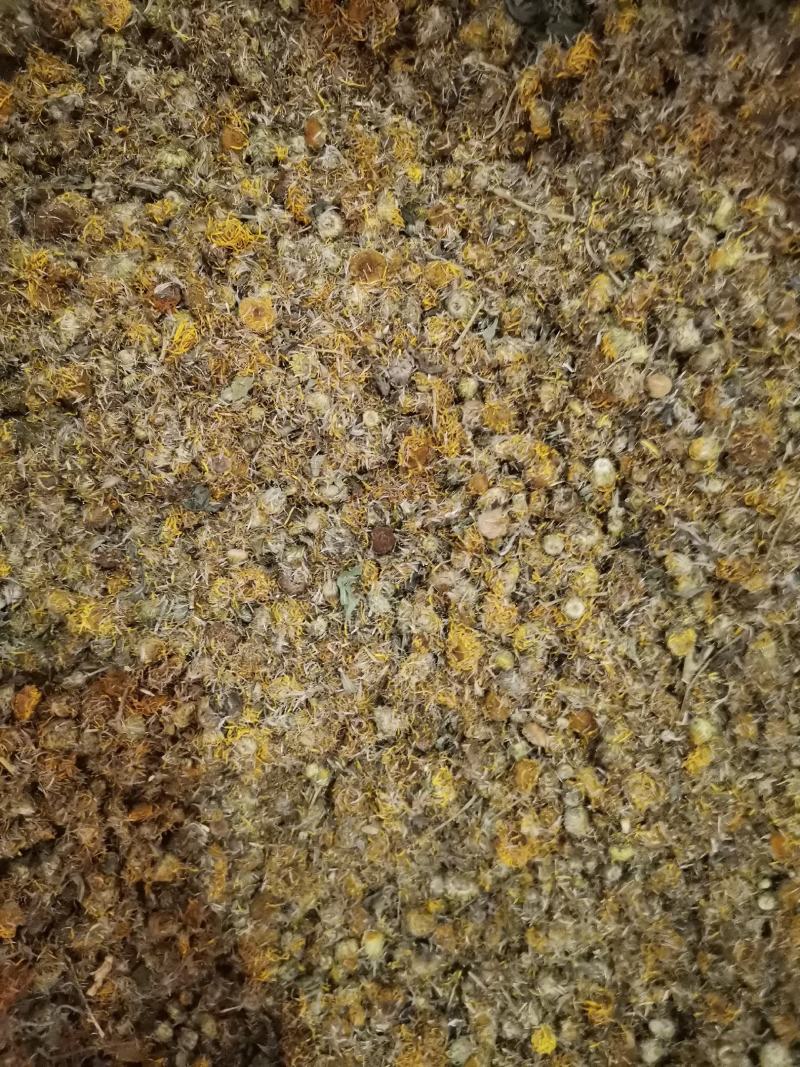 旋覆花无杂净货量大从优欢迎选购