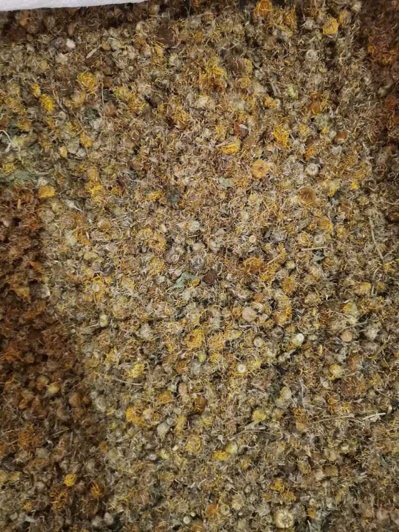 旋覆花无杂净货量大从优欢迎选购