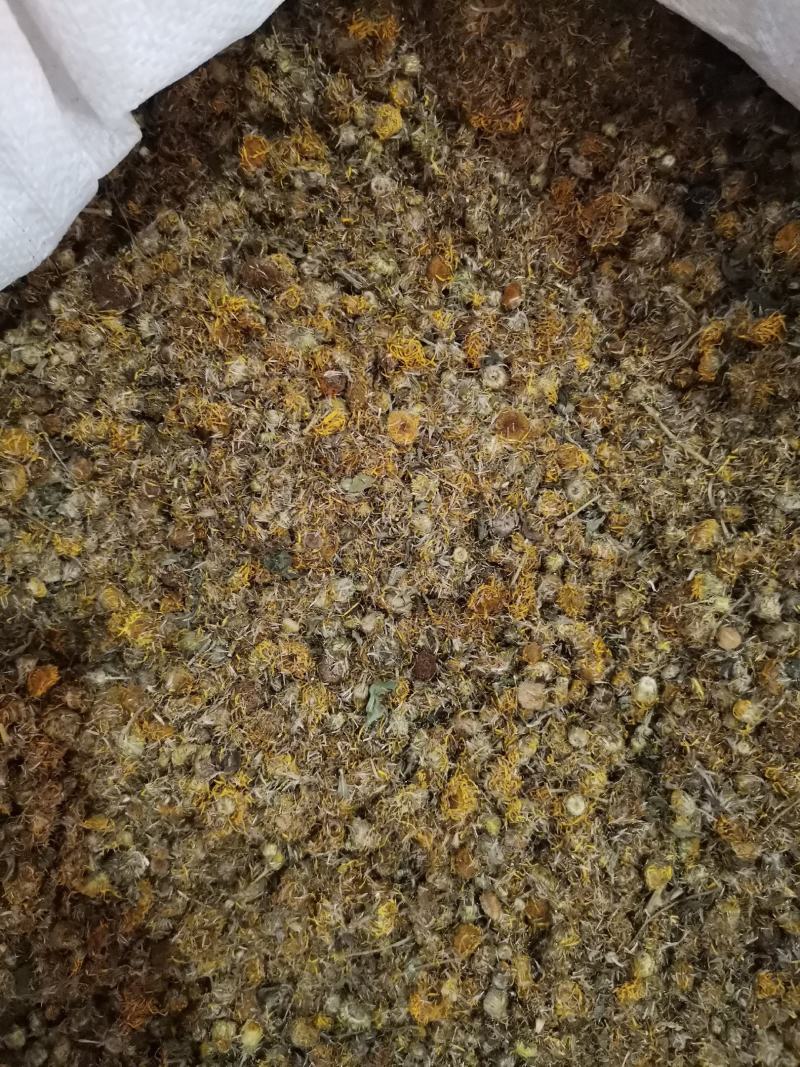 旋覆花无杂净货量大从优欢迎选购
