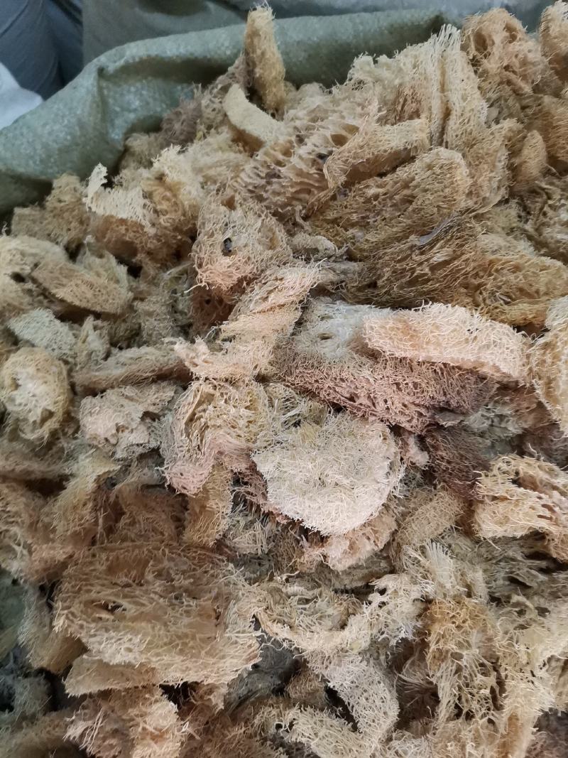 优质江西丝瓜络无杂净货量大从优欢迎选购