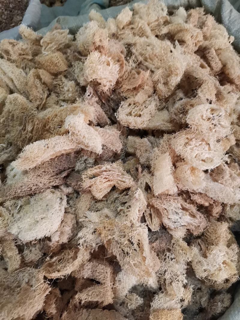 优质江西丝瓜络无杂净货量大从优欢迎选购