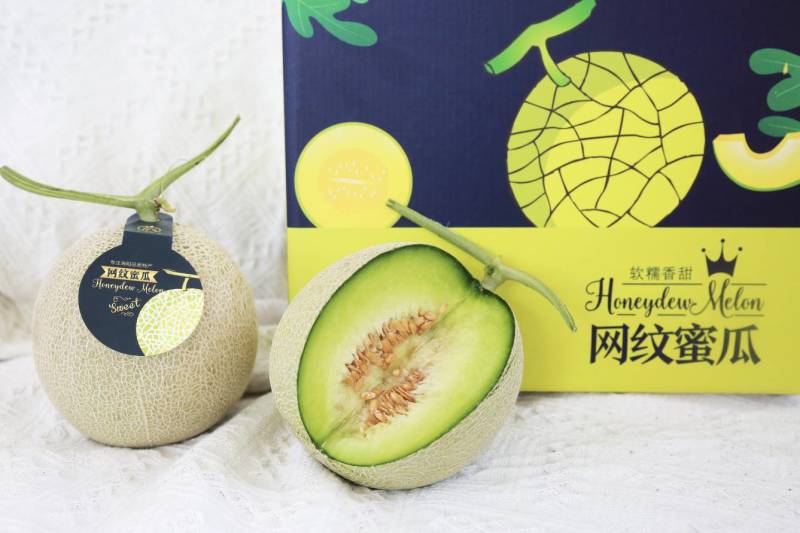 海阳鲁厚甜网纹瓜