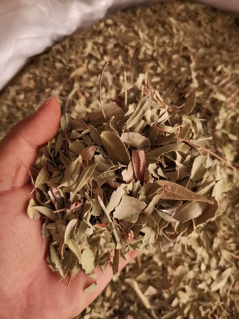 优质新疆罗布麻叶无杂净货量大从优欢迎惠顾
