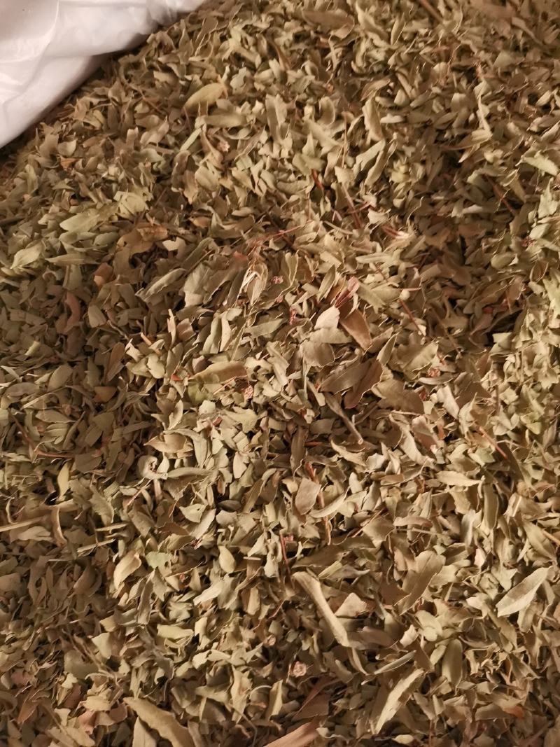 优质新疆罗布麻叶无杂净货量大从优欢迎惠顾
