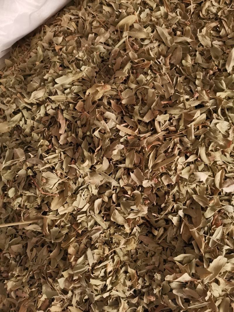 优质新疆罗布麻叶无杂净货量大从优欢迎惠顾
