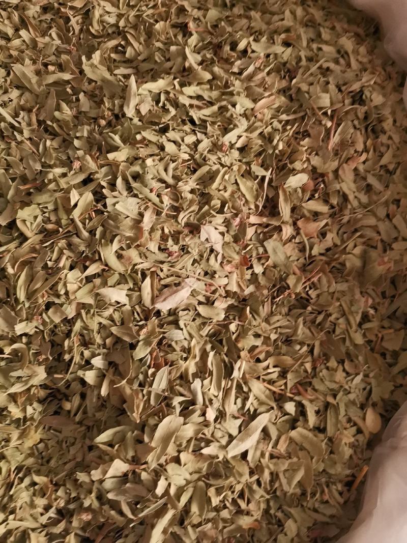 优质新疆罗布麻叶无杂净货量大从优欢迎惠顾