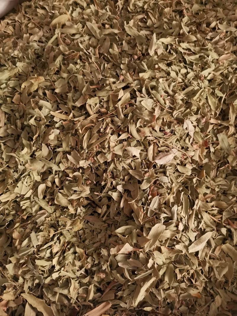 优质新疆罗布麻叶无杂净货量大从优欢迎惠顾