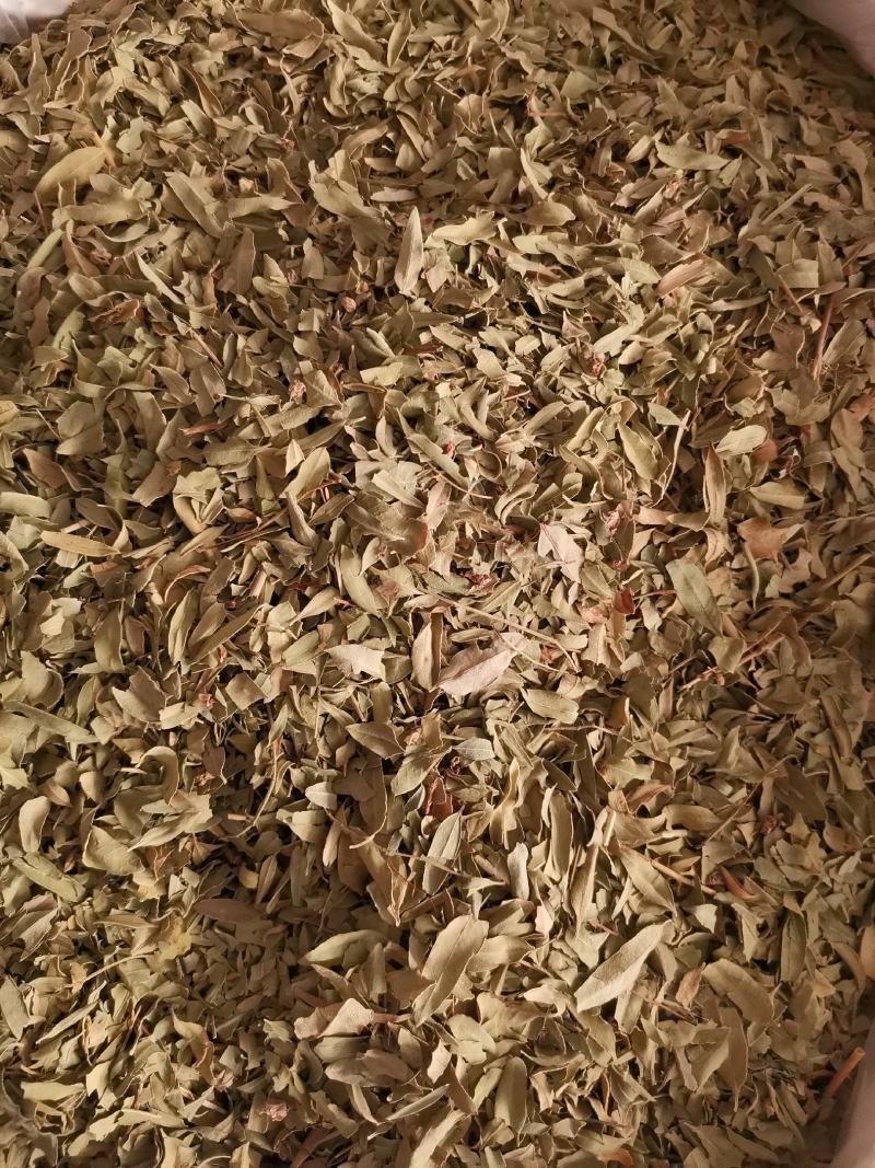 优质新疆罗布麻叶无杂净货量大从优欢迎惠顾