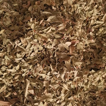 优质新疆罗布麻叶无杂净货量大从优欢迎惠顾