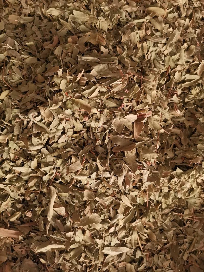优质新疆罗布麻叶无杂净货量大从优欢迎惠顾