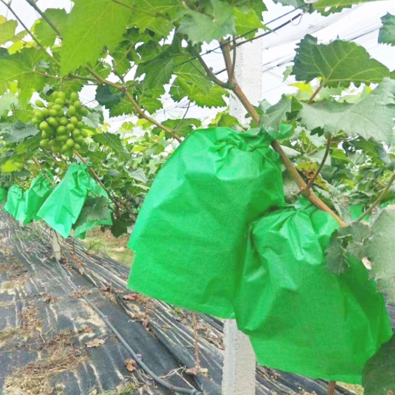 【厂家直供】葡萄套袋纯木浆全纸袋高抗水防虫防雨防日灼