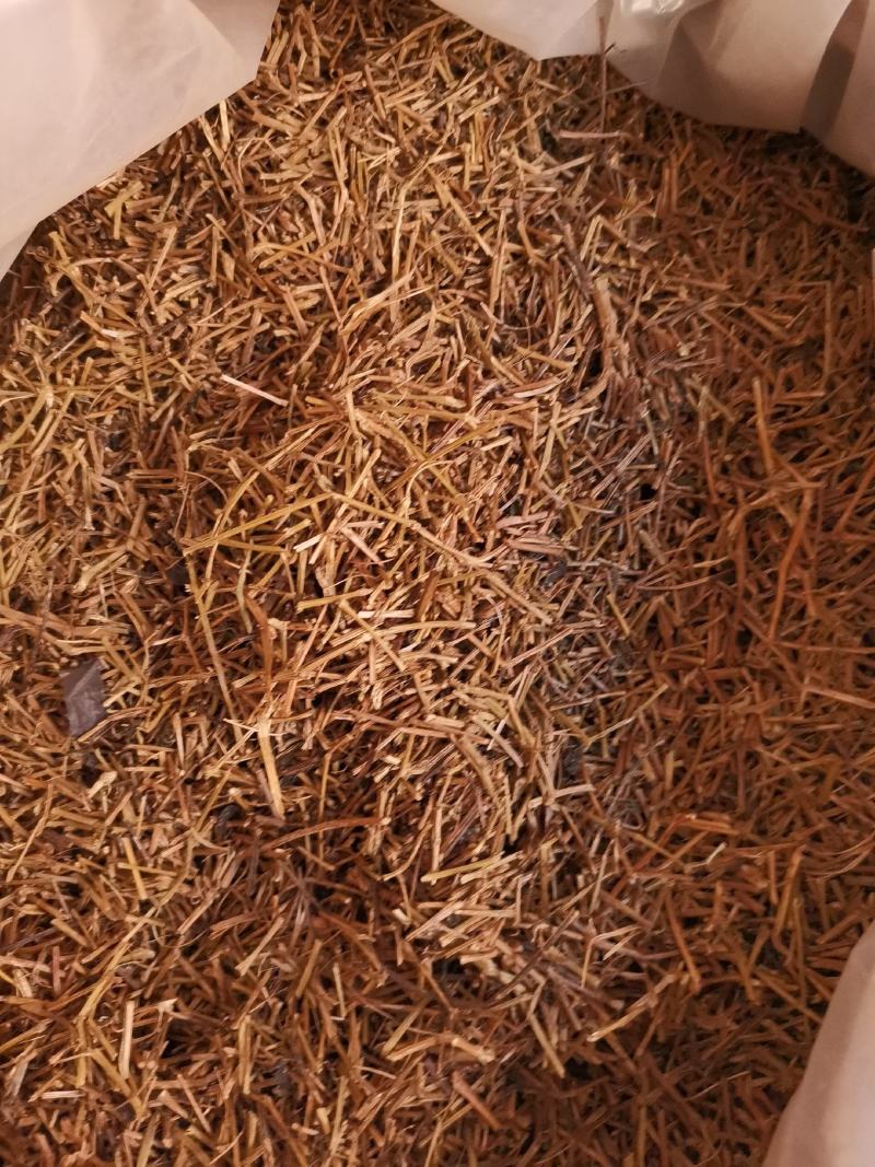 优质绞股蓝量大从优规格齐全欢迎惠顾