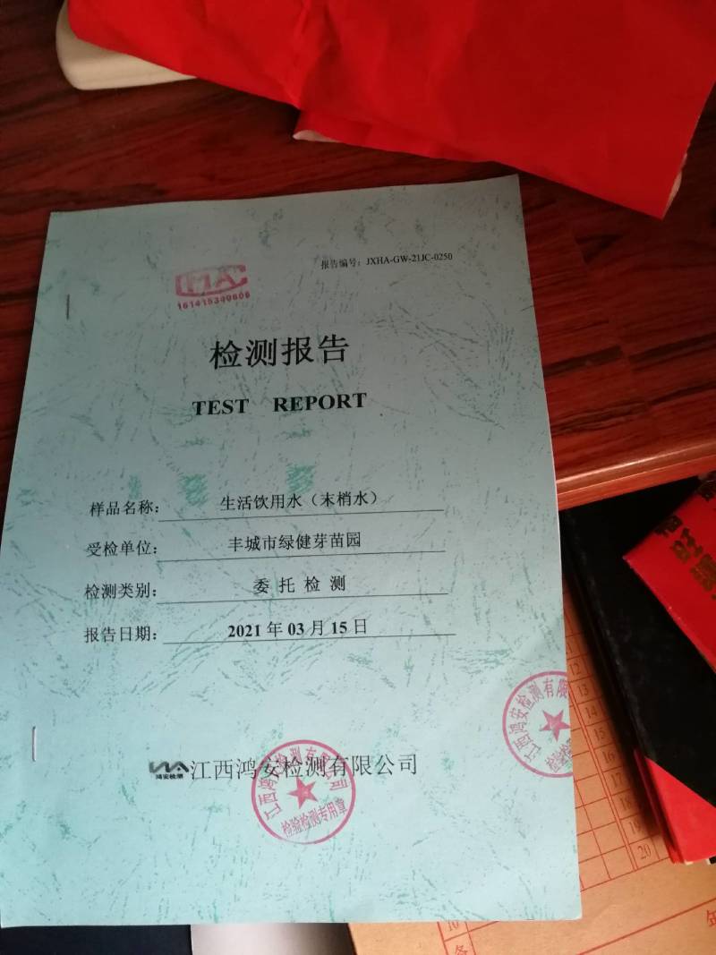零添加有机豆芽，全程只有水和豆种，不添加任何添加剂。