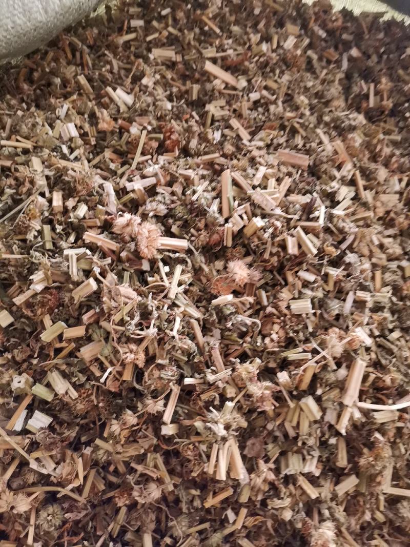 优质益母草切段无杂净货量大从优欢迎选购
