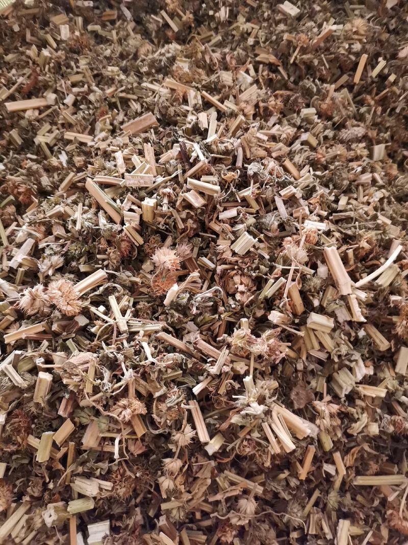 优质益母草切段无杂净货量大从优欢迎选购