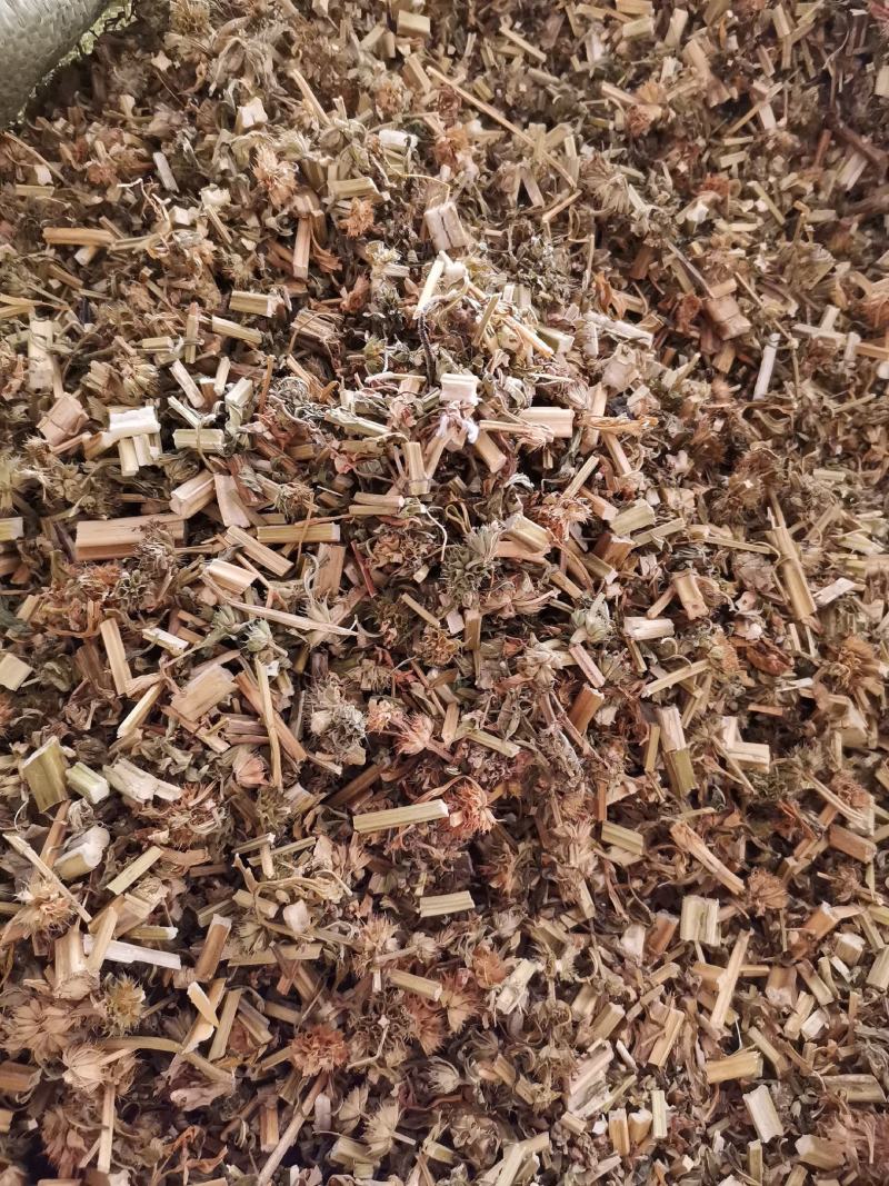 优质益母草切段无杂净货量大从优欢迎选购