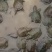 中华鳖水鱼苗、黄沙鳖水鱼苗优质A货！量大从优、质优价廉！