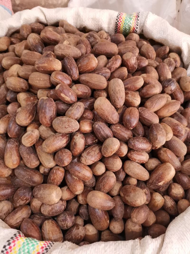 长香果香料量大从优欢迎选购