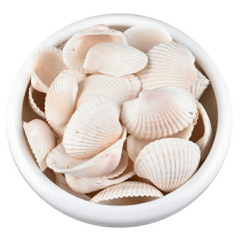 瓦楞子250g500克1000g瓦屋子瓦垄子非煅瓦