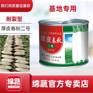 绵蔬厚皮春秋二号/萝卜种子/韩国萝卜种子/白萝卜种子