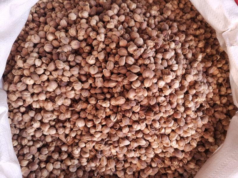 优质进口白豆蔻红豆蔻肉豆蔻紫豆蔻规格齐全量大从优