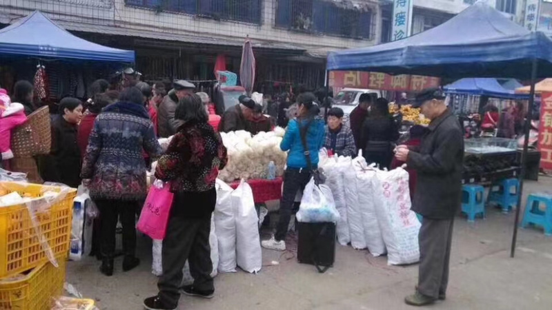地摊热卖粉丝宝鸡豌豆粉丝凉拌三丝厂价直销