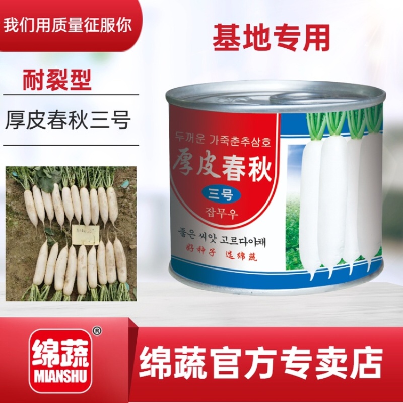 厚皮春秋三号/萝卜种子/韩国萝卜种子/白萝卜种子/绵蔬