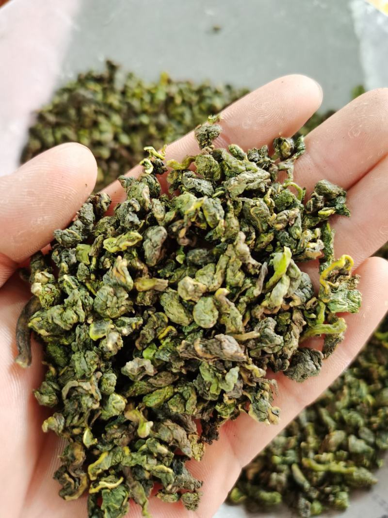桑叶茶2021年新货桑叶茶纯青大颗粒桑叶茶