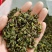 桑叶茶2021年新货桑叶茶纯青大颗粒桑叶茶