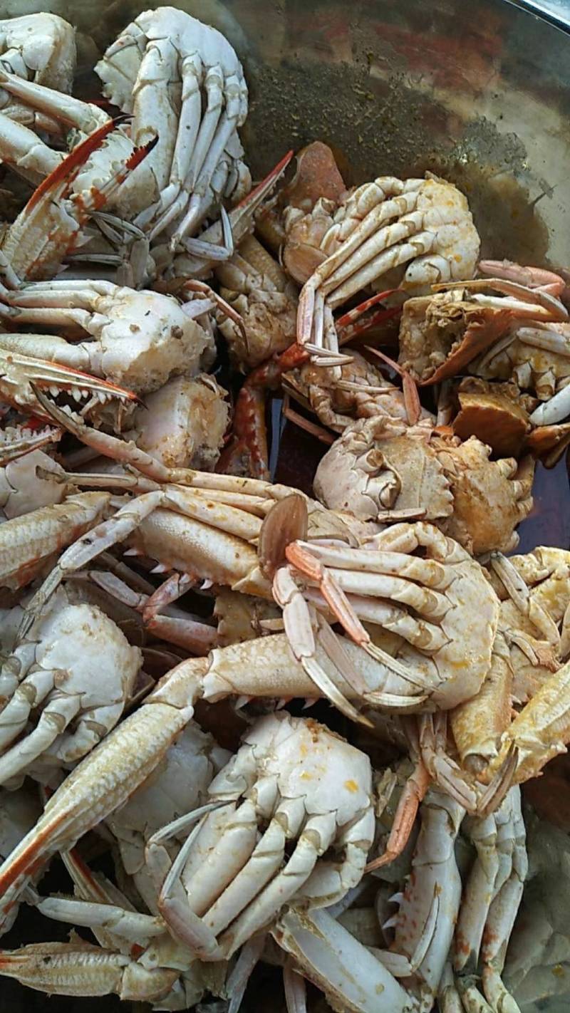 螃蟹红蟹肉蟹，香辣蟹，酒店自自助餐都可以用
