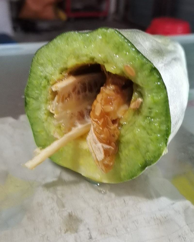 甜瓜，羊角酥，羊角蜜，口感好，色泽好，入口酥甜脆，