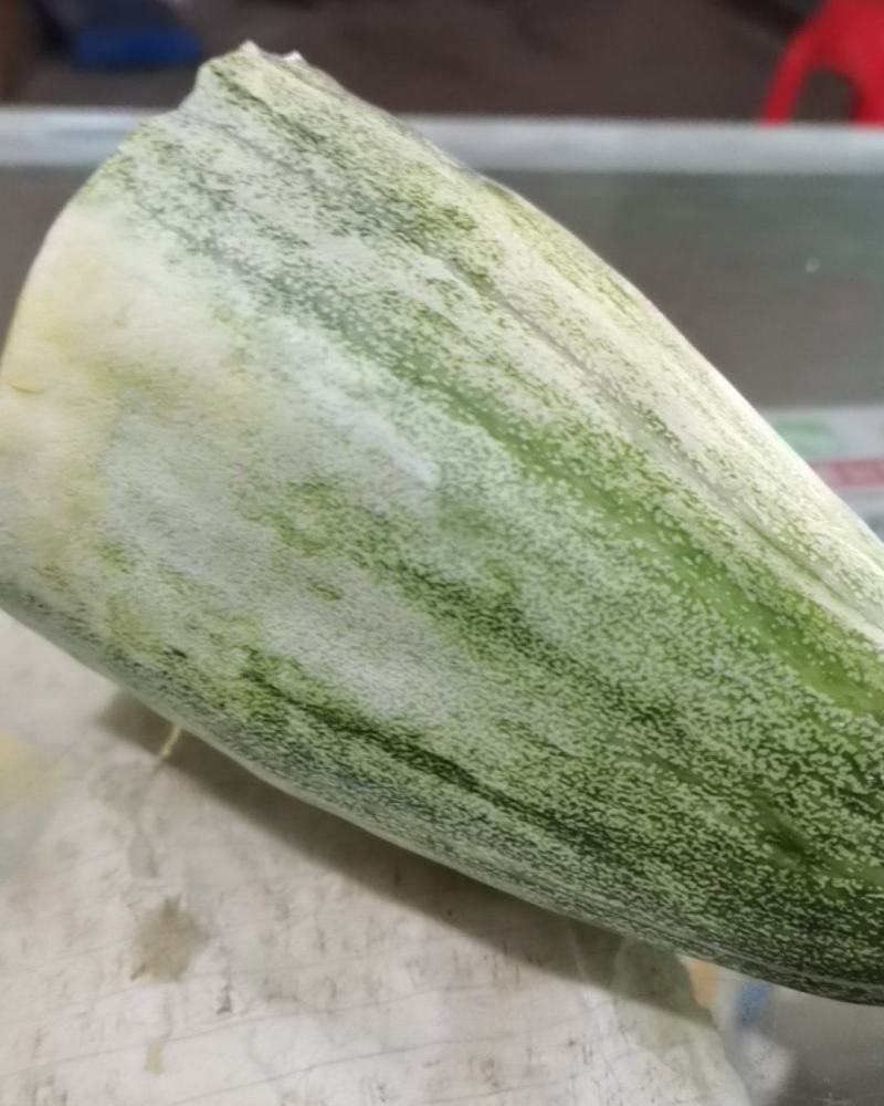 甜瓜，羊角酥，羊角蜜，口感好，色泽好，入口酥甜脆，